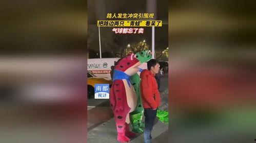 蛤蟆路边吃瓜,揭秘街头百态