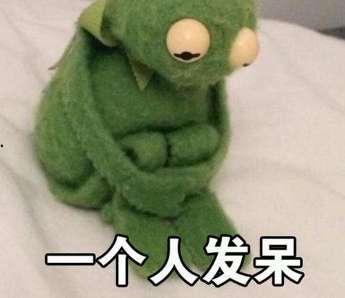 青蛙吃瓜表情包,趣味横生的网络文化现象