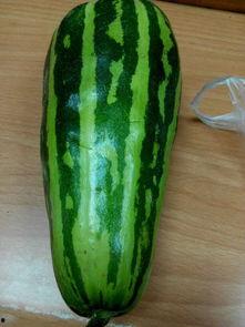 什么叫吃瓜唠,网络热词背后的社交现象