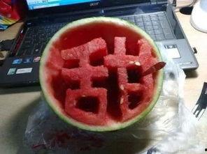 张掖吃瓜视频,一场视觉与味蕾的盛宴